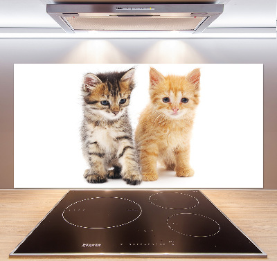 Achterwand keuken Bruine en rosse kat