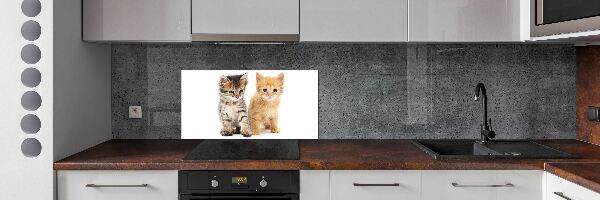 Achterwand keuken Bruine en rosse kat