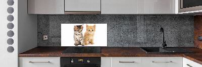 Achterwand keuken Bruine en rosse kat