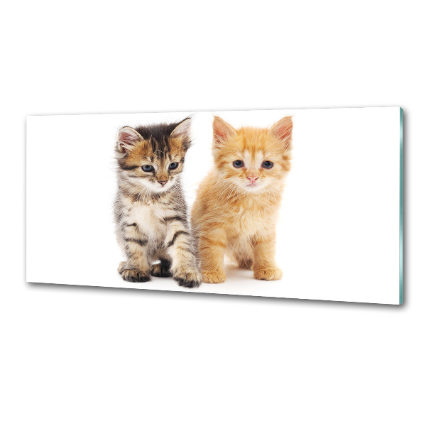 Achterwand keuken Bruine en rosse kat