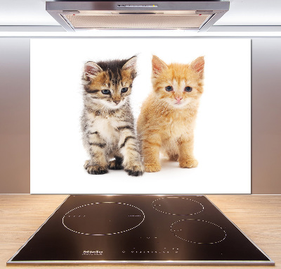 Achterwand keuken Bruine en rosse kat