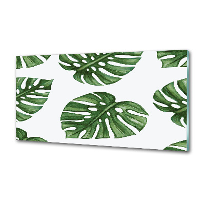 Spatplaat keuken Monstera