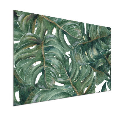 Glazen achterwand keuken Monstera