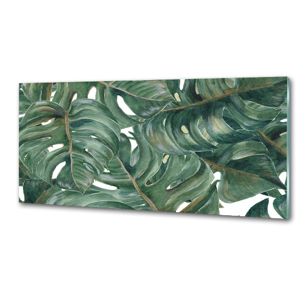 Glazen achterwand keuken Monstera