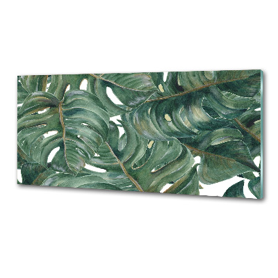 Glazen achterwand keuken Monstera