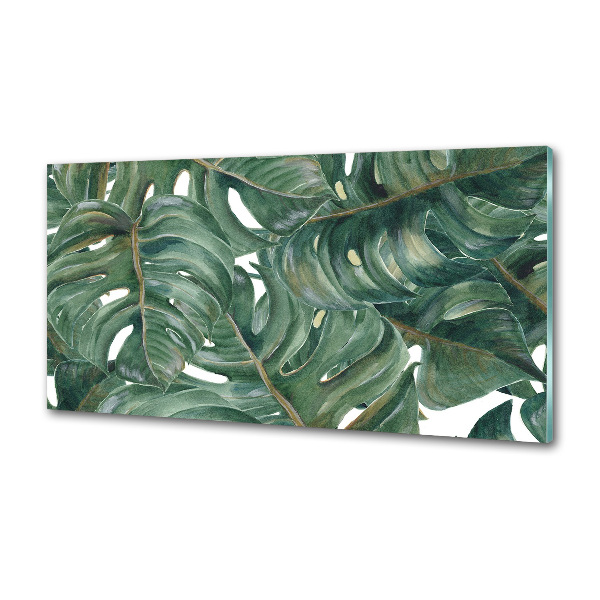 Glazen achterwand keuken Monstera