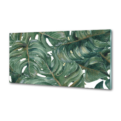Glazen achterwand keuken Monstera