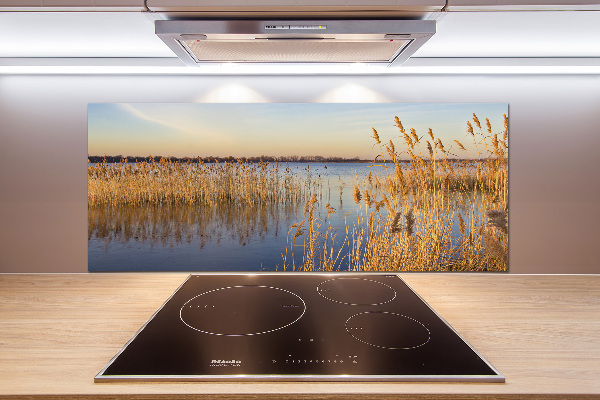 Spatplaat keuken Waterriet