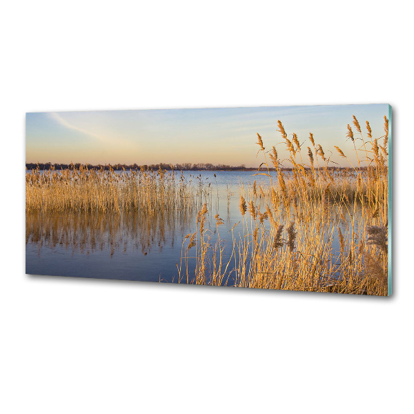 Spatplaat keuken Waterriet