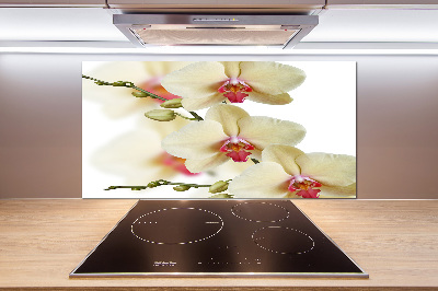 Keuken achterwand Orchidee