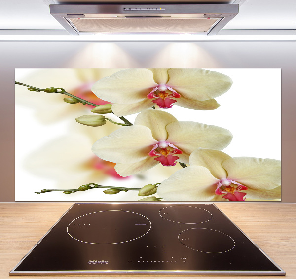Keuken achterwand Orchidee