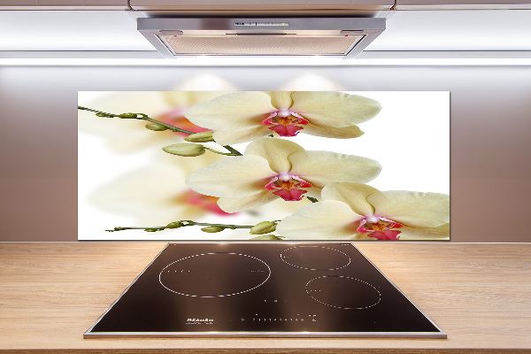 Keuken achterwand Orchidee