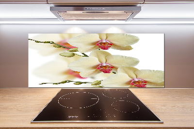 Keuken achterwand Orchidee