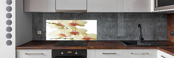 Keuken achterwand Orchidee