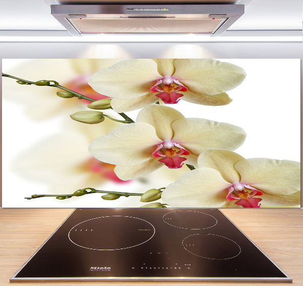 Keuken achterwand Orchidee