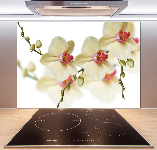 Keuken achterwand Orchidee