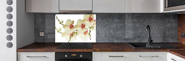 Keuken achterwand Orchidee