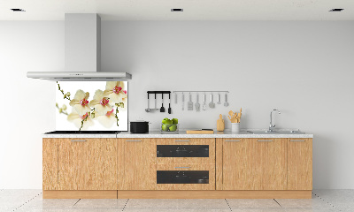 Keuken achterwand Orchidee
