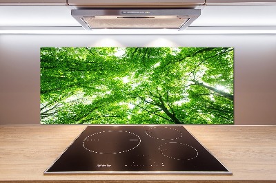 Keuken achterwand Groen bos
