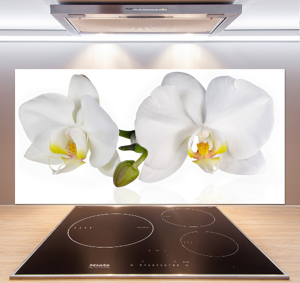 Glazen achterwand keuken Orchidee
