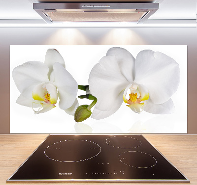 Glazen achterwand keuken Orchidee