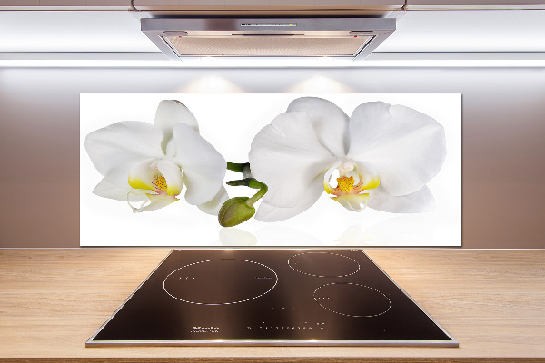 Glazen achterwand keuken Orchidee