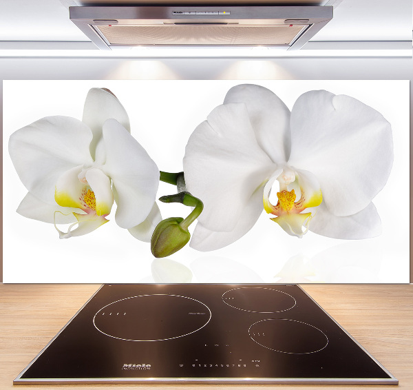 Glazen achterwand keuken Orchidee