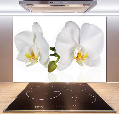 Glazen achterwand keuken Orchidee