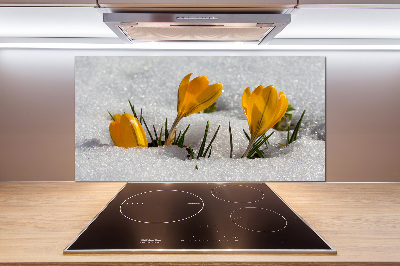 Achterwand keuken Krokussen in de sneeuw