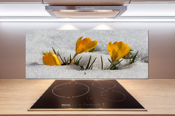 Achterwand keuken Krokussen in de sneeuw