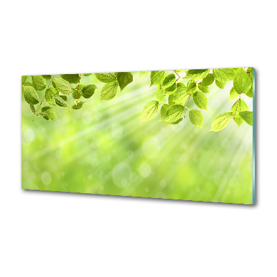 Spatscherm keuken Bladeren