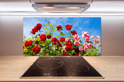 Spatplaat keuken Wilde rozen