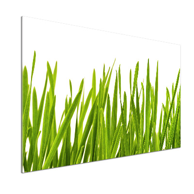 Glazen achterwand keuken Gras