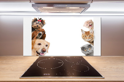 Glazen achterwand keuken Honden en katten