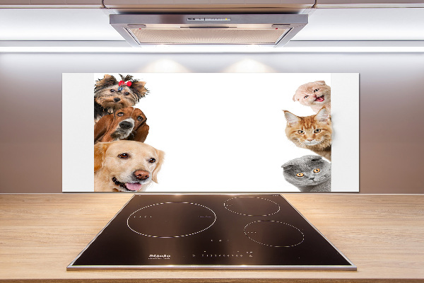 Glazen achterwand keuken Honden en katten