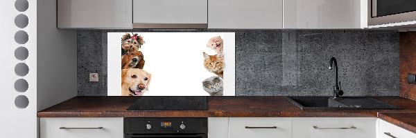 Glazen achterwand keuken Honden en katten