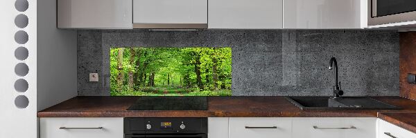 Glazen achterwand keuken Lentebos