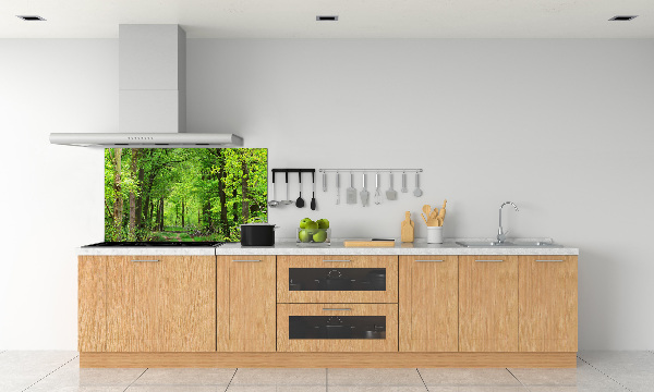 Glazen achterwand keuken Lentebos