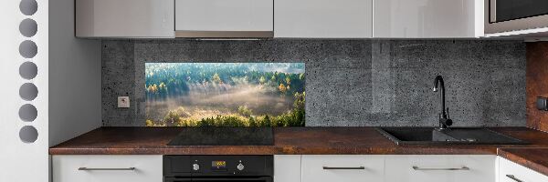 Spatplaat keuken Mist in het bos