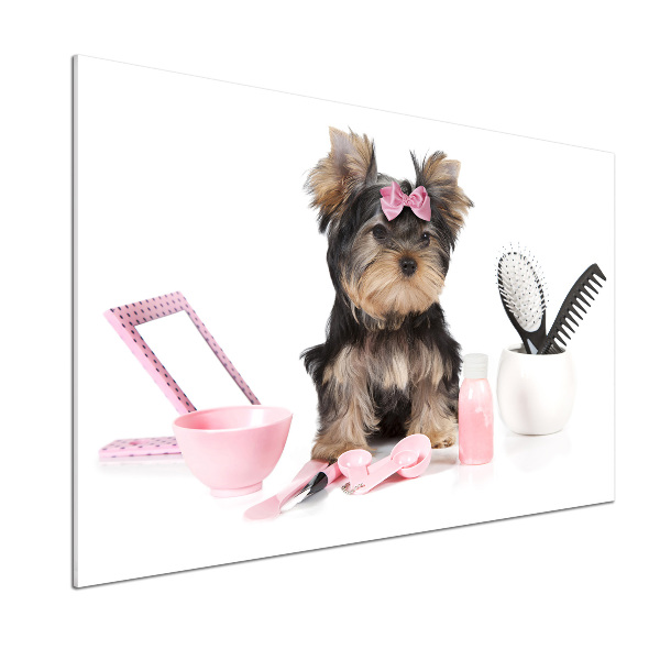 Spatscherm keuken Yorkshire cosmetica