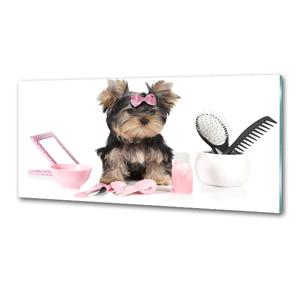 Spatscherm keuken Yorkshire cosmetica