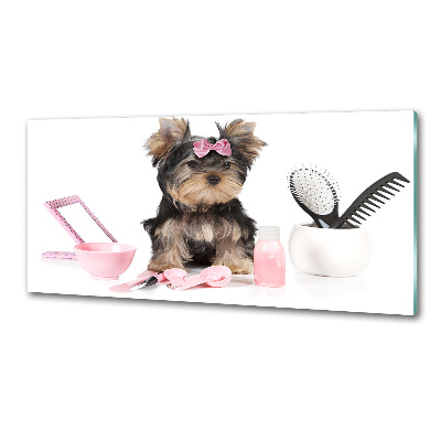 Spatscherm keuken Yorkshire cosmetica