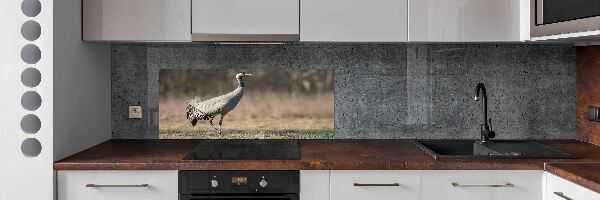Spatplaat keuken Reiger