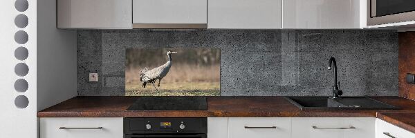 Spatplaat keuken Reiger