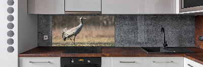 Spatplaat keuken Reiger