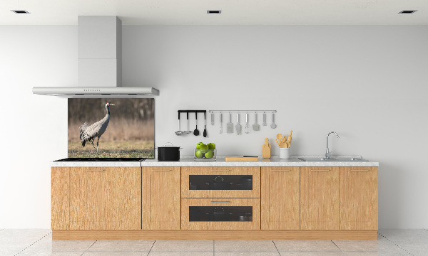 Spatplaat keuken Reiger