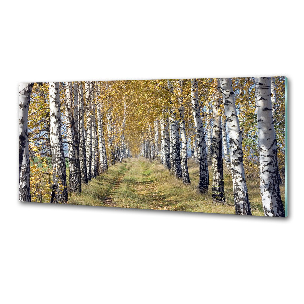 Glazen achterwand keuken Berken in de herfst