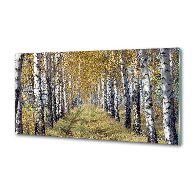 Glazen achterwand keuken Berken in de herfst