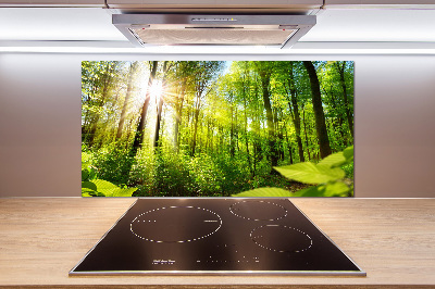 Spatscherm keuken Bos in de zon