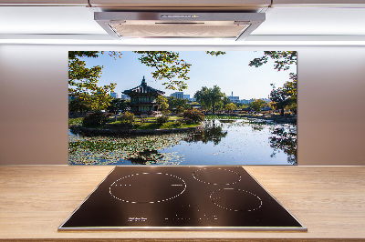 Spatplaat keuken Zuid-Korea